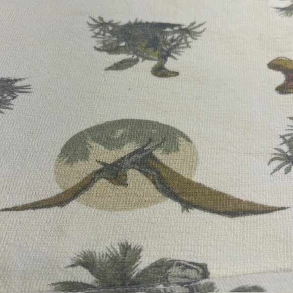 Jurassic World White Boys Dinosaur Short Sleeve Pullover Top Size 5T - Picture 5 of 13